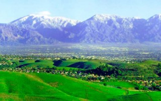 Chino Hills Real Estate for sale and rent